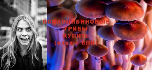 мяу мяу мука Абдулино
